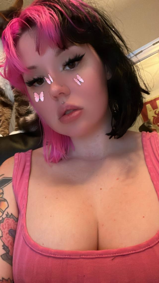   kittyrose440