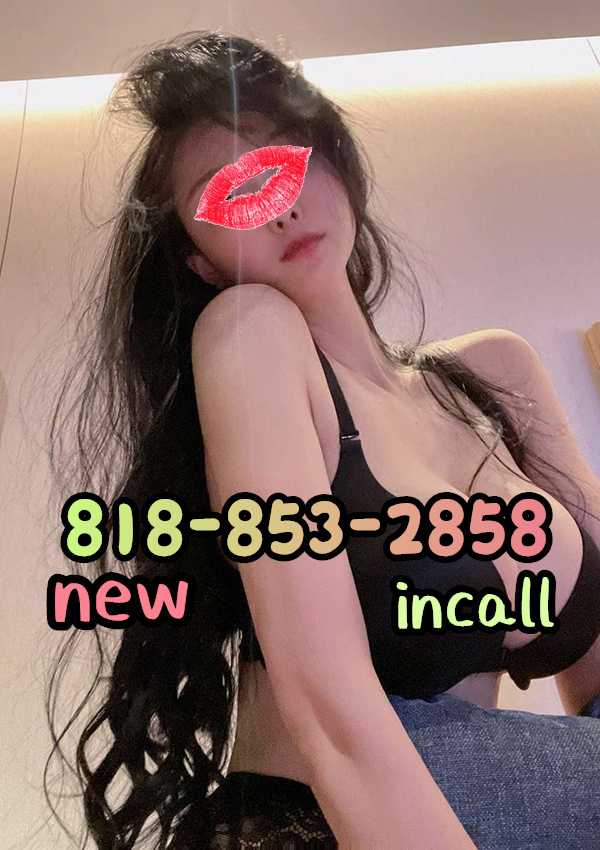  8188532858