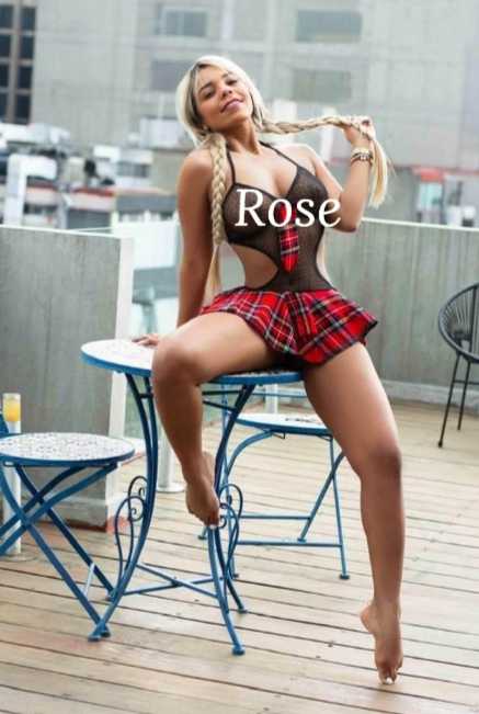 Rose