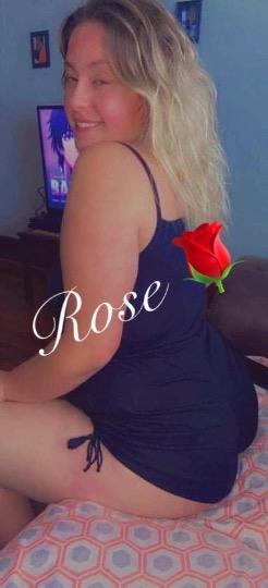  Rose