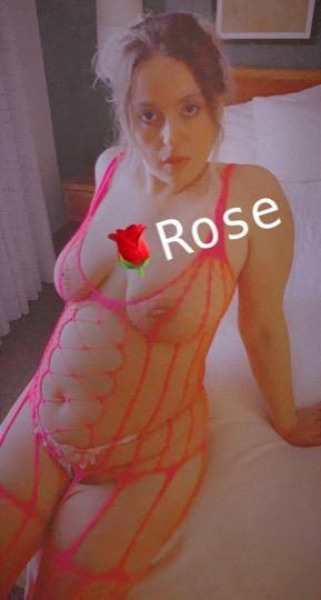  Rose