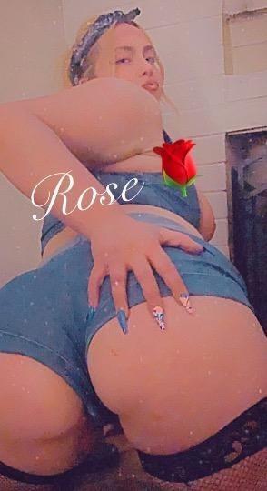  Rose