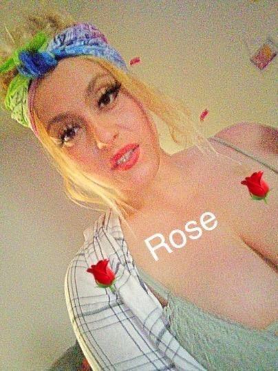  Rose