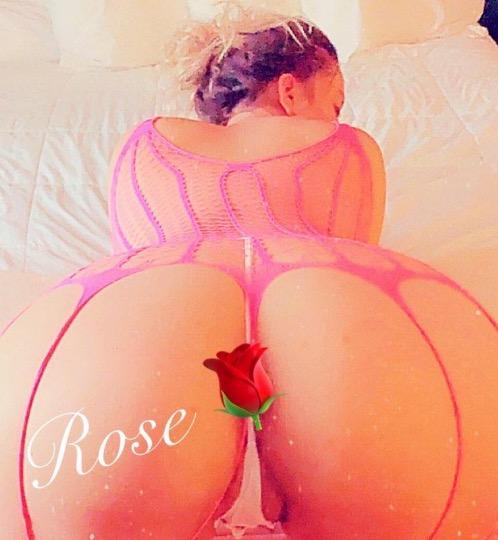  Rose