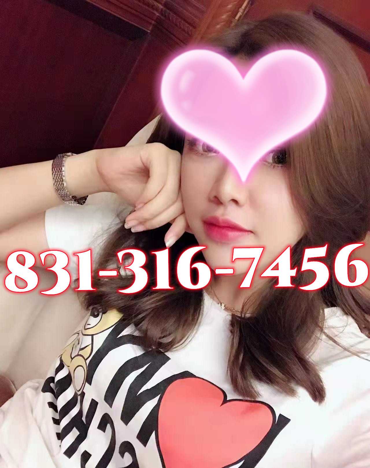  8313167456